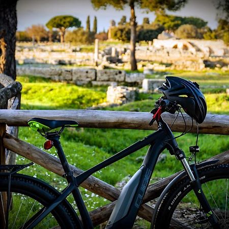 Villa Claudianna Bed & Bike Paestum Ngoại thất bức ảnh