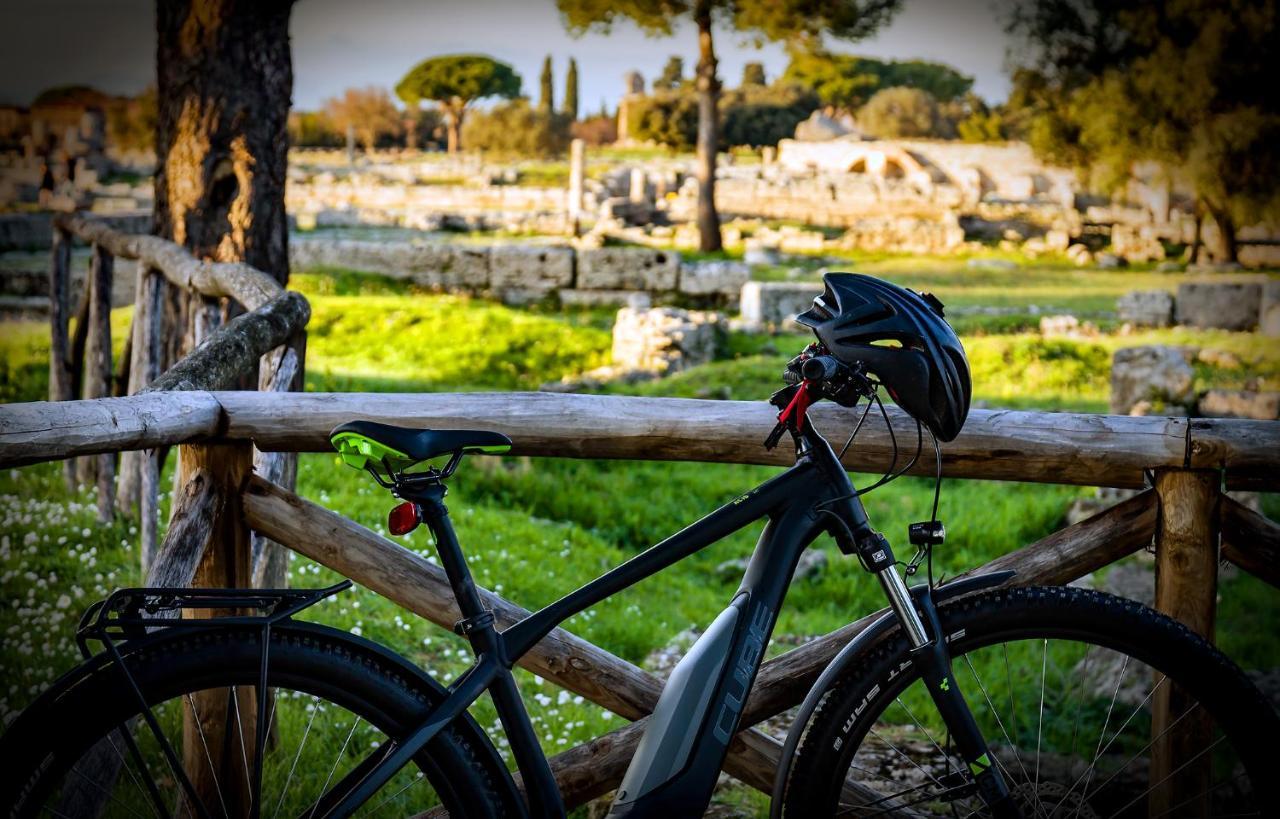 Villa Claudianna Bed & Bike Paestum Ngoại thất bức ảnh